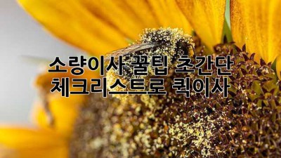 소량이사 꿀팁🍯: 초간단 체크리스트로 퀵이사🚀