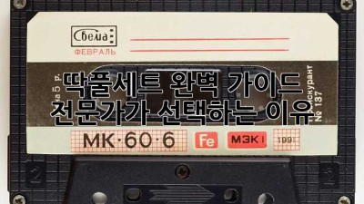 딱풀세트 완벽 가이드✨ 전문가가 선택하는 이유!