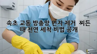 속초 교동 방충망 먼지 제거 ✨ 찌든 때 천연 세척 비법 공개!